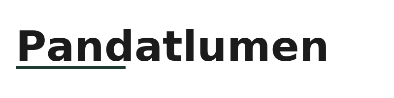 Pandatlumen logo
